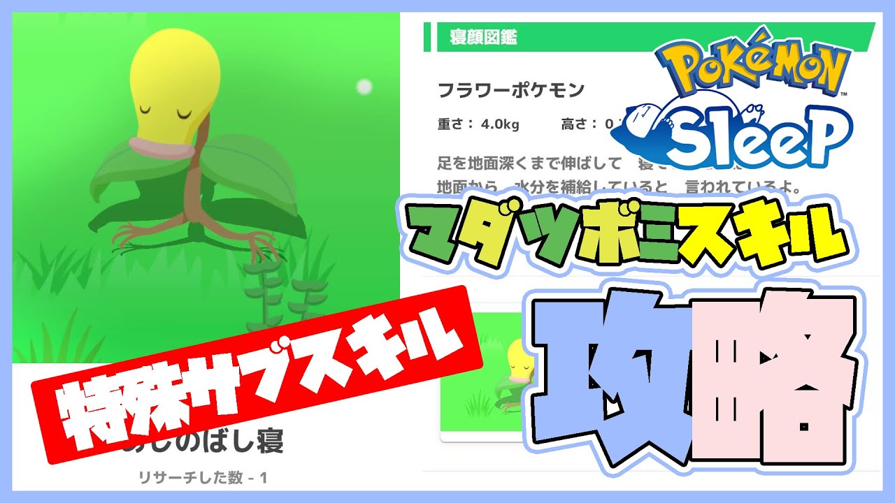【ポケスリ攻略】No.69 マダツボミ #ポケモンスリープ #サブスキル