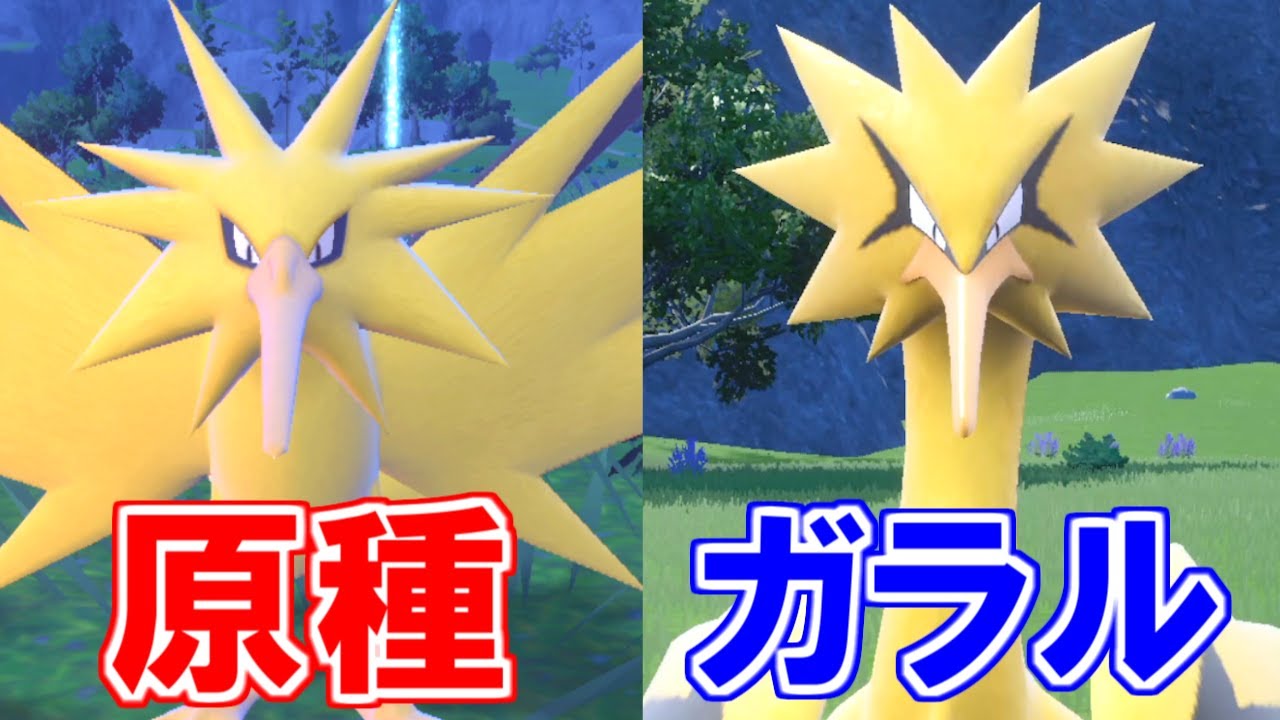 【脳がバグる】『色違い』のガラルサンダーがほぼ原種サンダーな件【ポケモンSV】