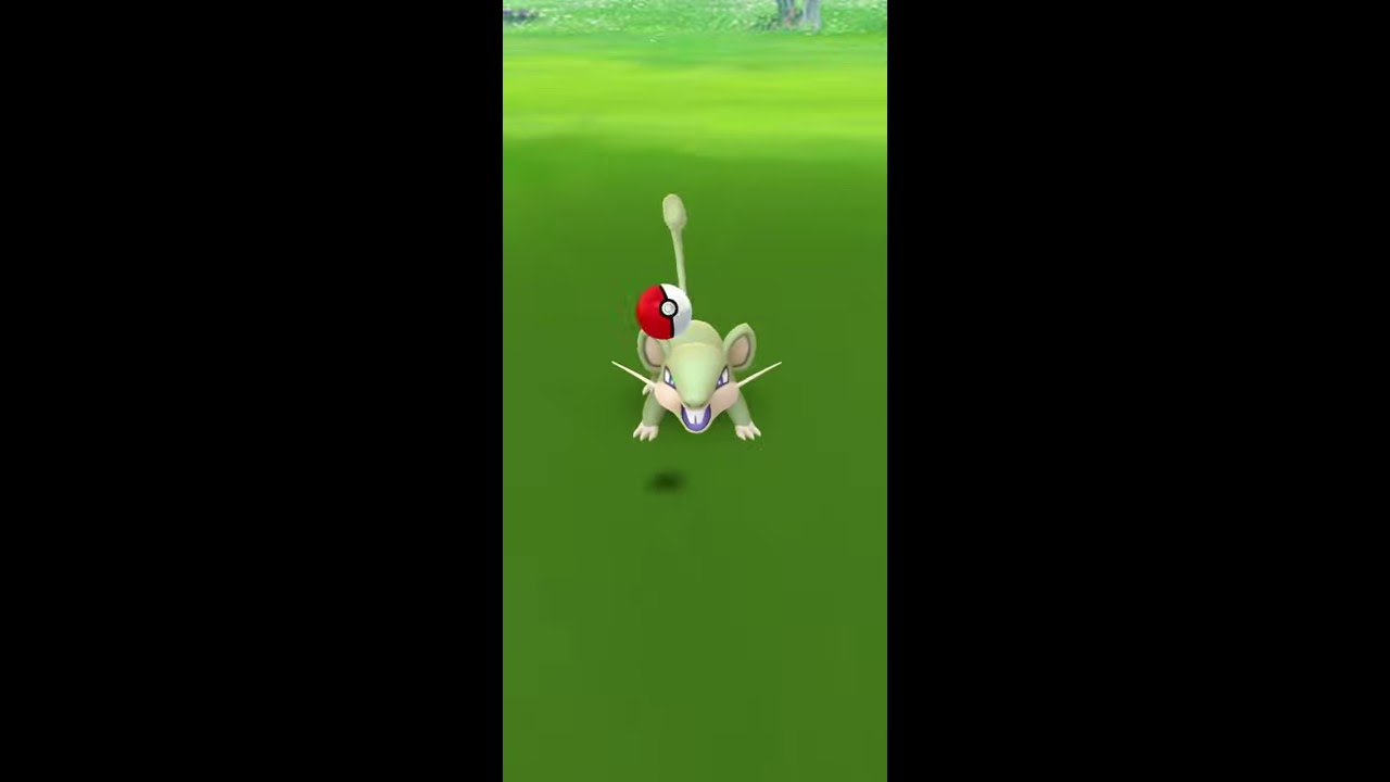 【ポケモンGO】色違い コラッタ GET✨