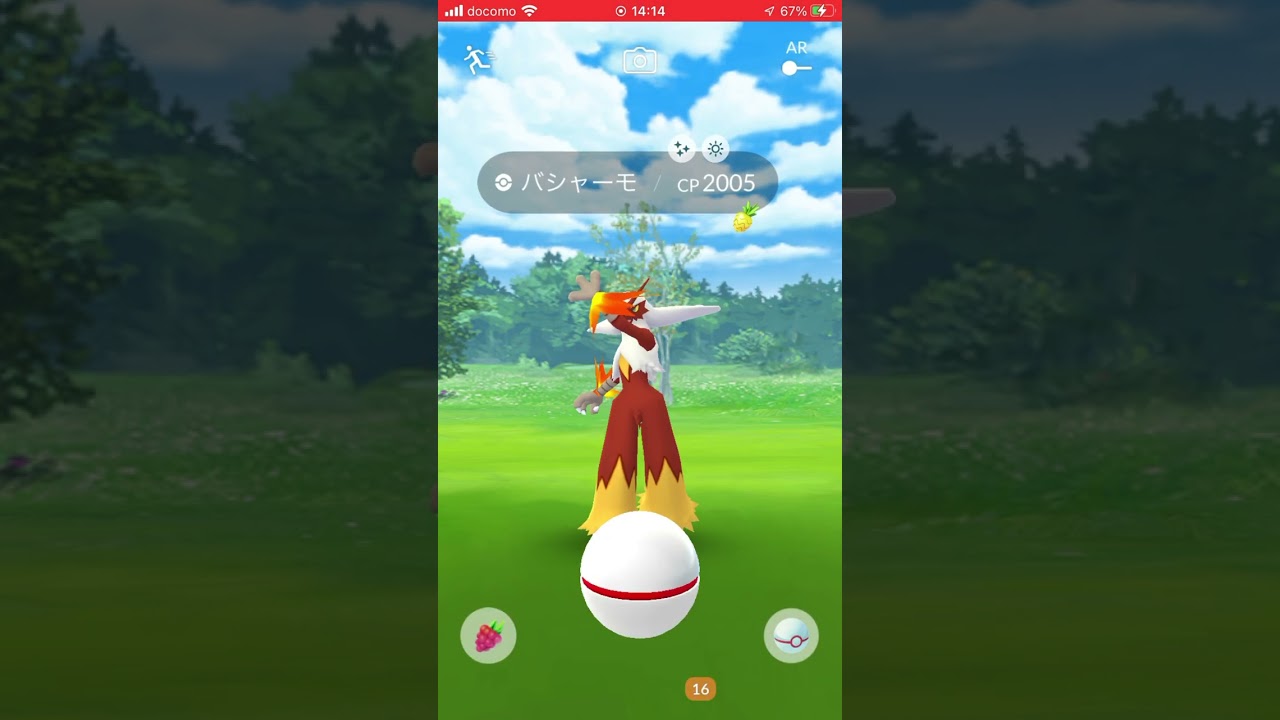 バシャーモ 色違い✨