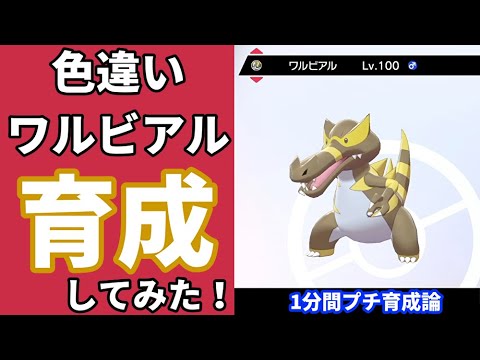 【ポケモン育成紹介】『色違い』ワルビアルをサクッと1分プチ育成を紹介【初心者向け/鎧の孤島/剣盾】
