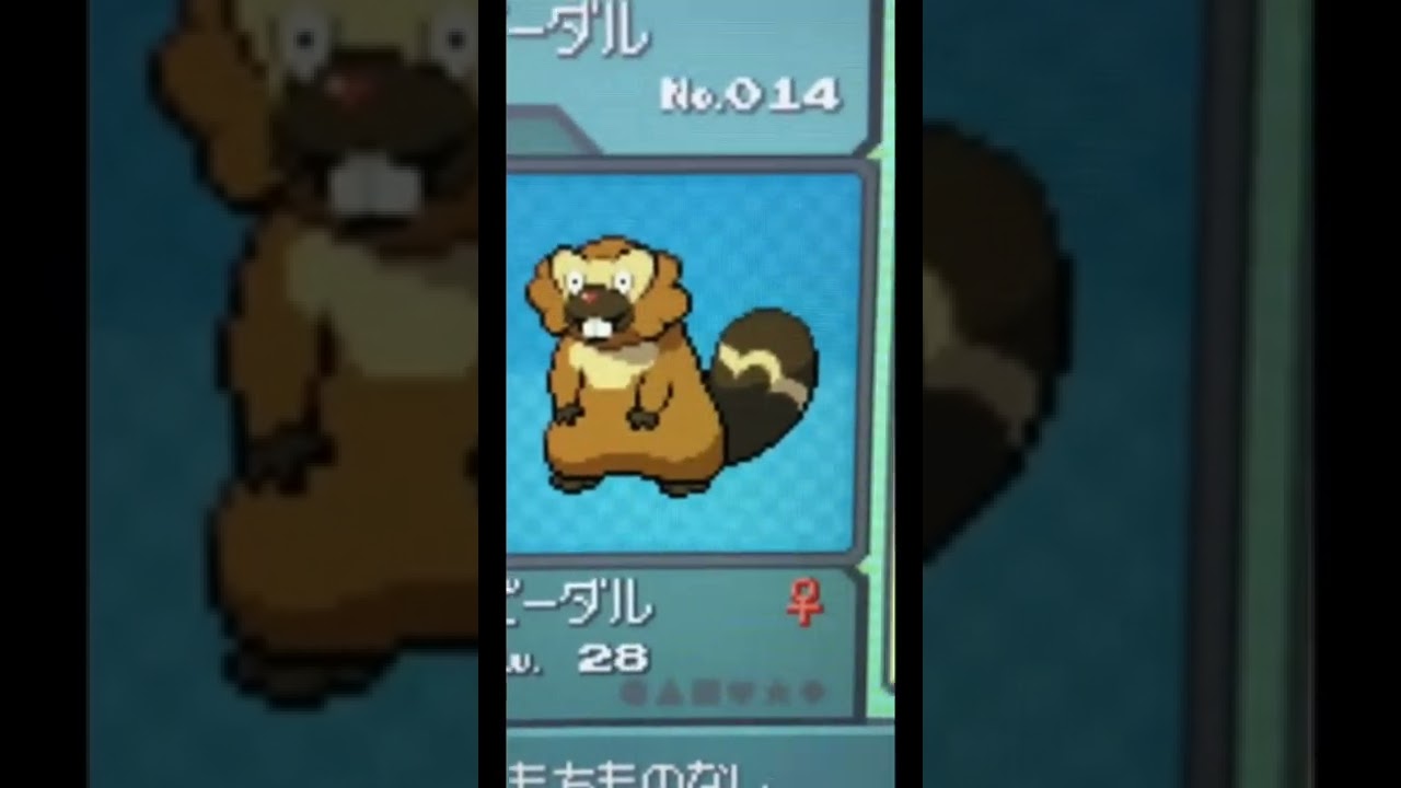 今まで意識したことなかったけど、初めてビーダルの性別の違いがわかった　#ポケモン#実況#pokémon