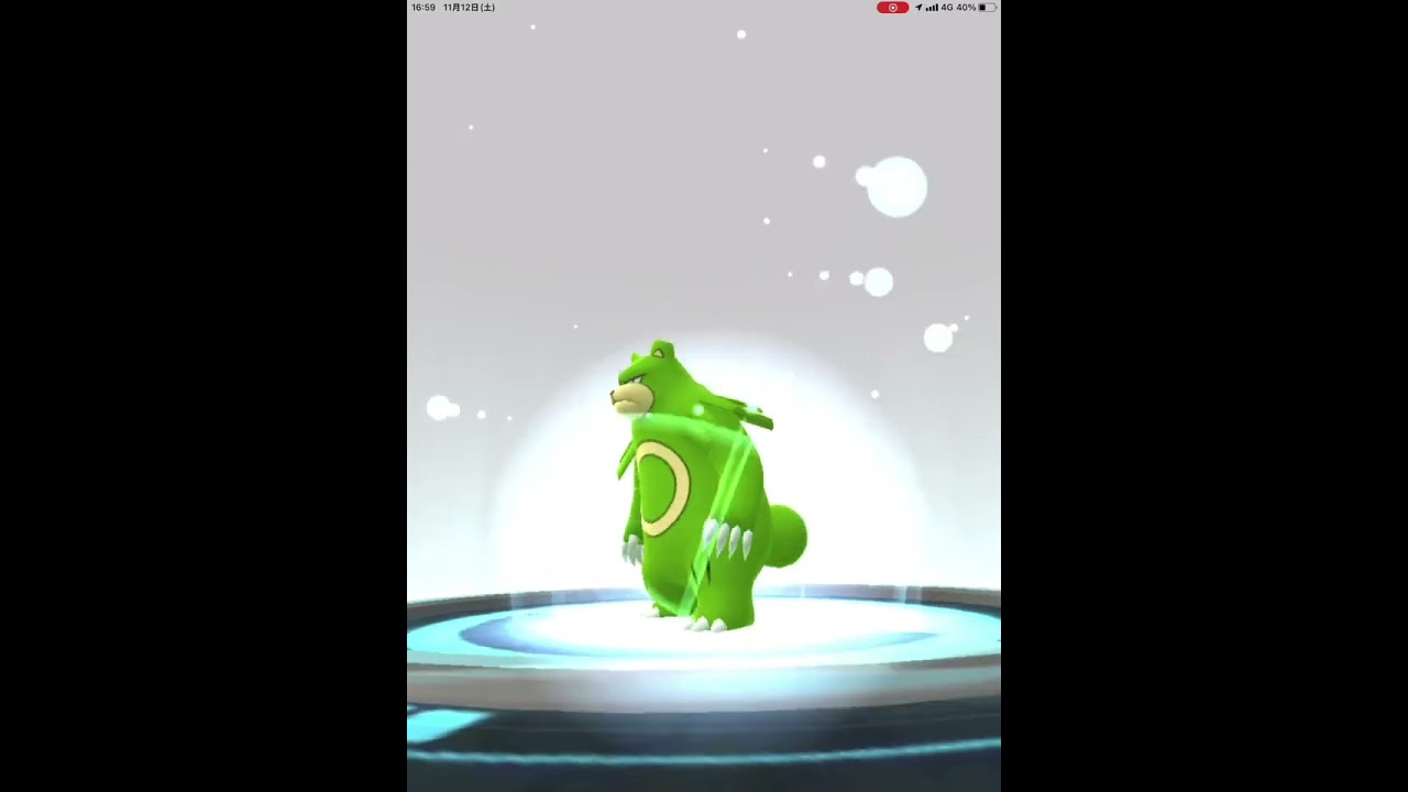 ポケモンGO 色違いヒメグマ進化リングマ進化ガチグマ
