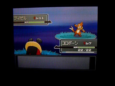 VSブイゼル／ポケモンプラチナ