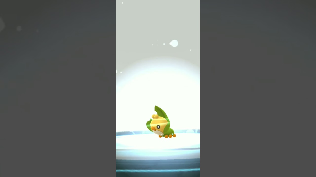 🔴I EVOLVE NEW POKEMON‼️SEWADDLE TO SWADLOON‼️POKEMON‼️PLAY  POKEMON GO‼️VIP CENTRE.................❌