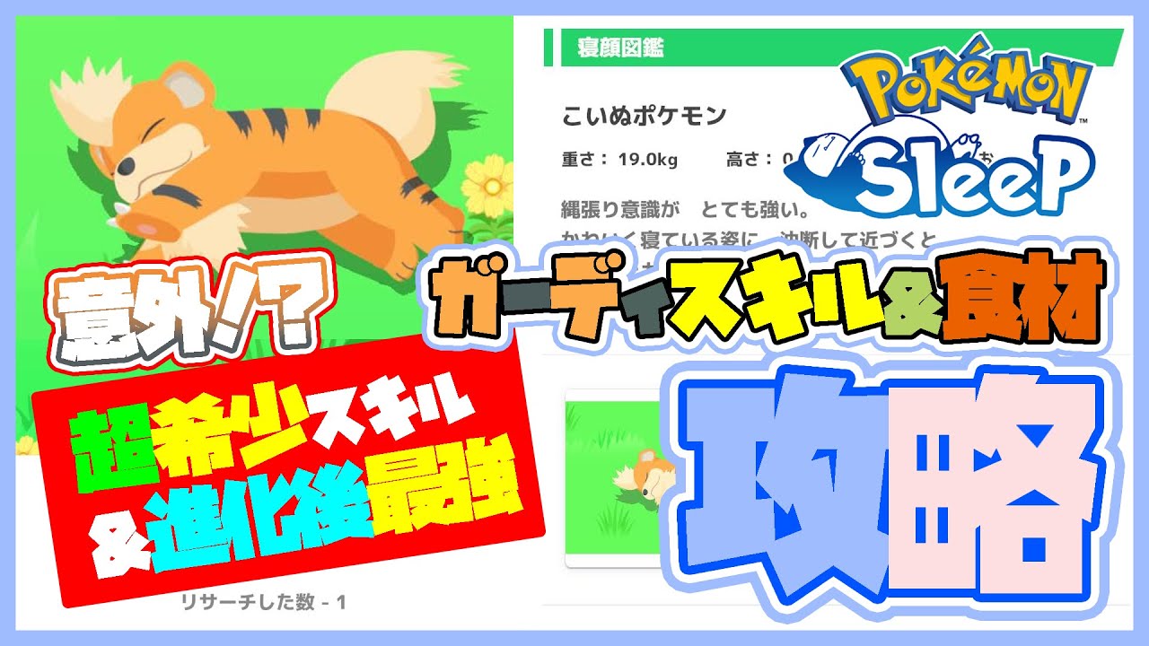 【ポケスリ攻略】No.58 ガーディ #ポケモンスリープ