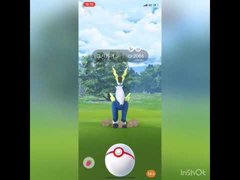 色違いコバルオン出現