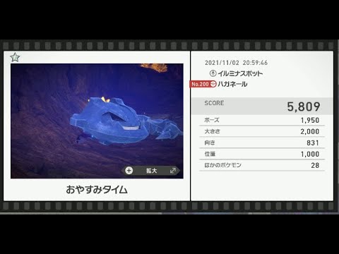 Newポケモンスナップ　★1ハガネール【5809】