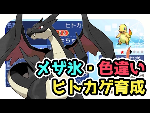 【ポケモンサンムーン実況】色違いめざめるパワー氷のメガリザードンｙ育成