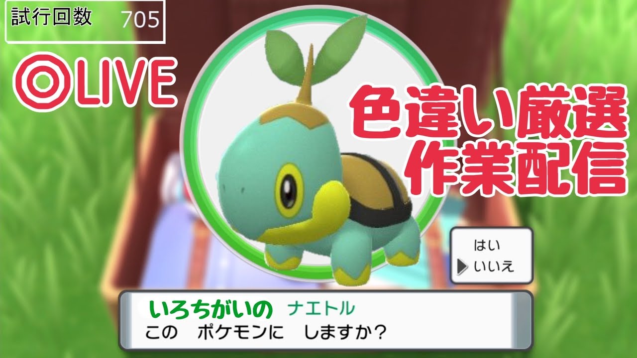 ダイパリメイク色違いの旅～！(ナエトル厳選737匹目～)【ポケモンBDSP】