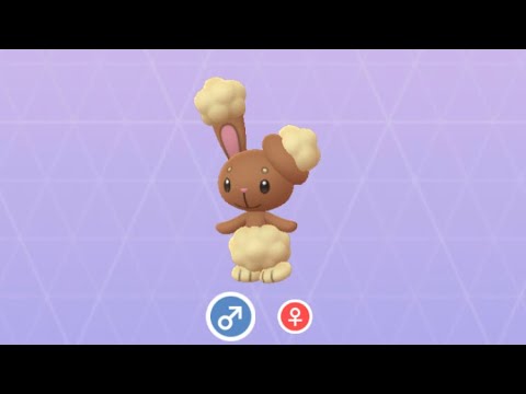 Pokémon GO 427 ミミロル