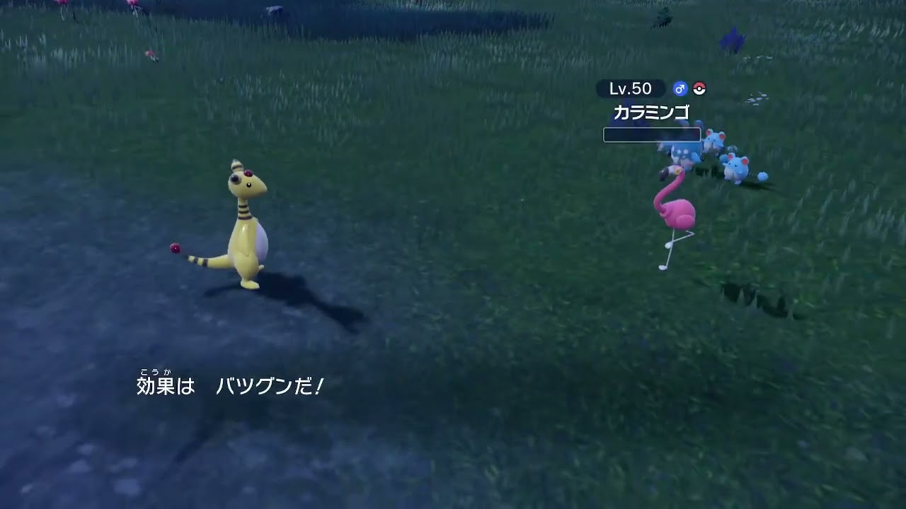 バトルを見守るマリルリとマリル【ポケモンスカーレット】