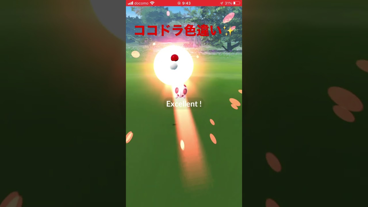 ココドラ 色違い✨