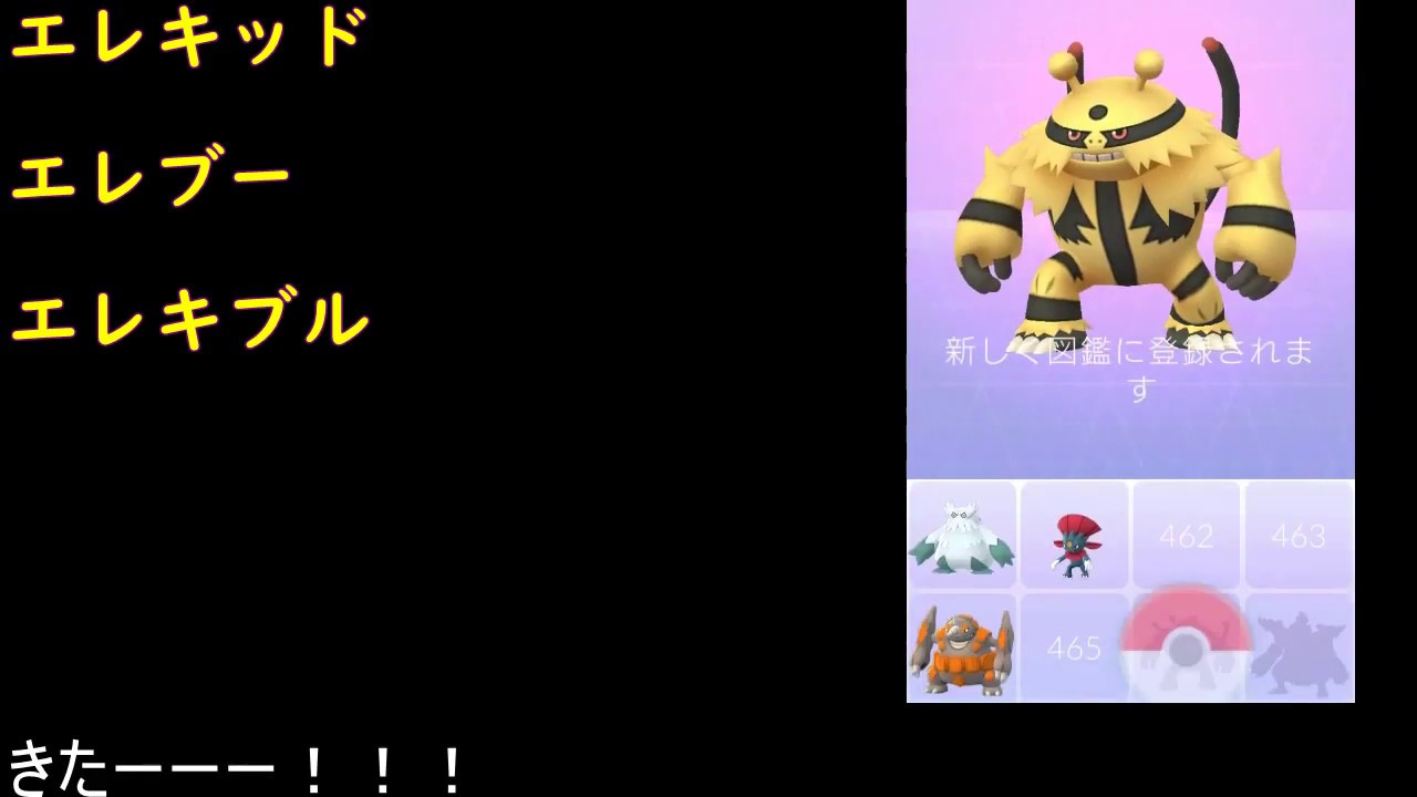 エレキッド進化エレブー進化エレキブル【ポケモンGO】