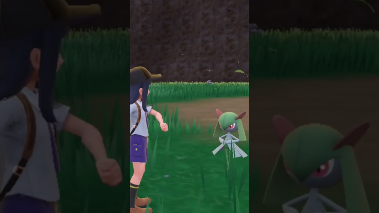 主人公の動きにビクっとするキルリア「ポケットモンスター スカーレット・バイオレット」 #shorts