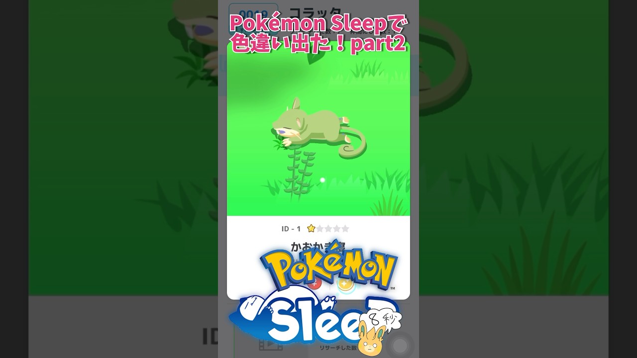 【Pokémon Sleep】#ポケモンスリープ で色違いコラッタ出た #shorts #pokemon #pokemonsleep #色違いポケモン #がんばりそりそ