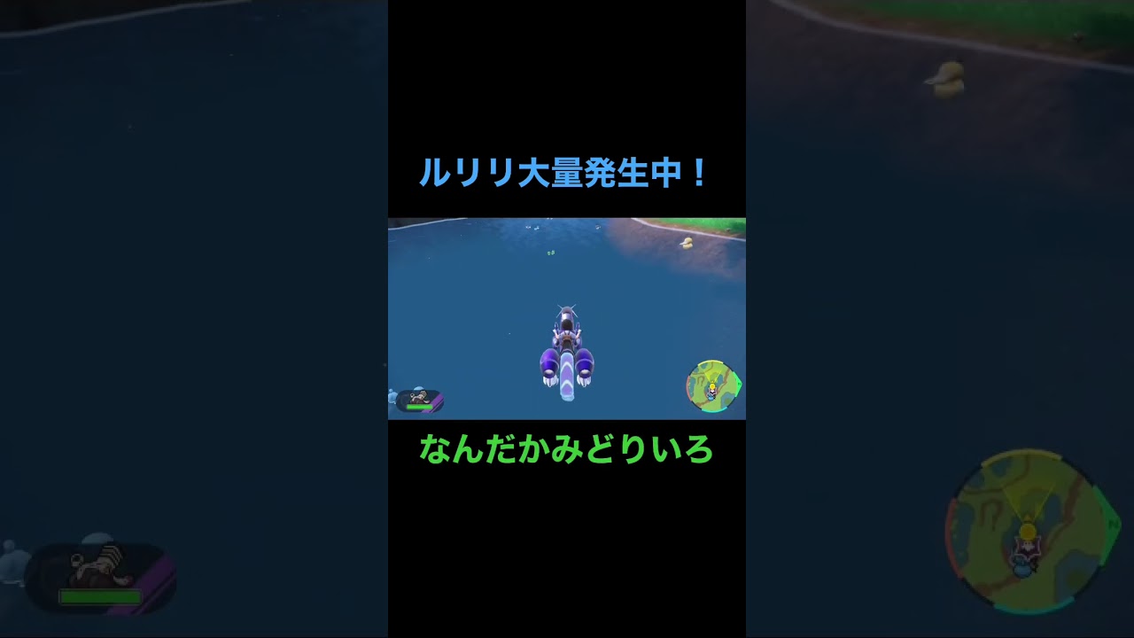 【ポケモンSV】ルリリ大量発生中、緑色に遭遇 #shorts #ポケモンsv #色違いポケモン