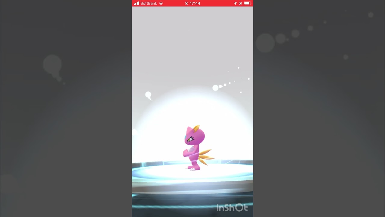 色違いのニューラをマニューラに進化させてみた！ #ポケモンgo #pokemongo #色違い #shorts