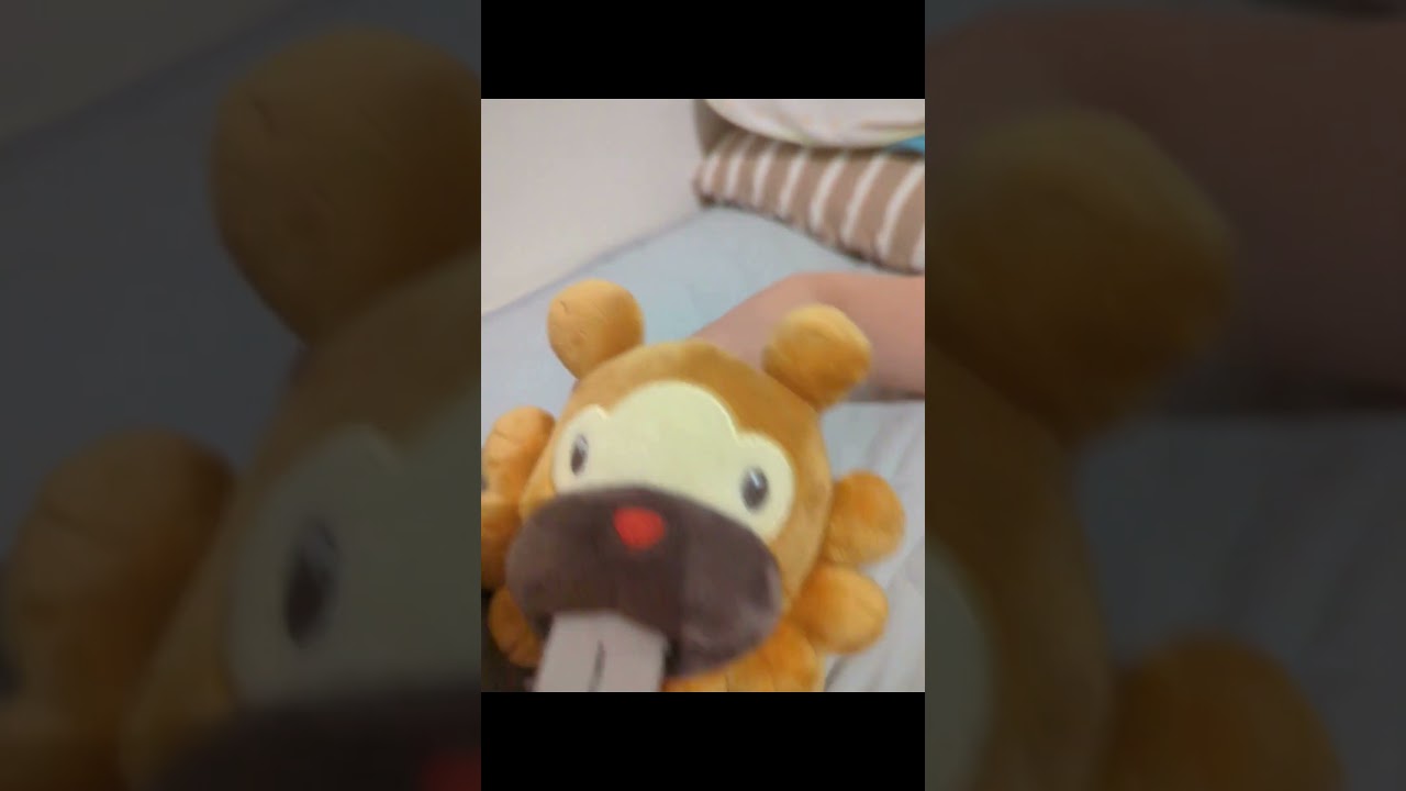 ビッパのぬいぐるみを買った者の末路 #shorts
