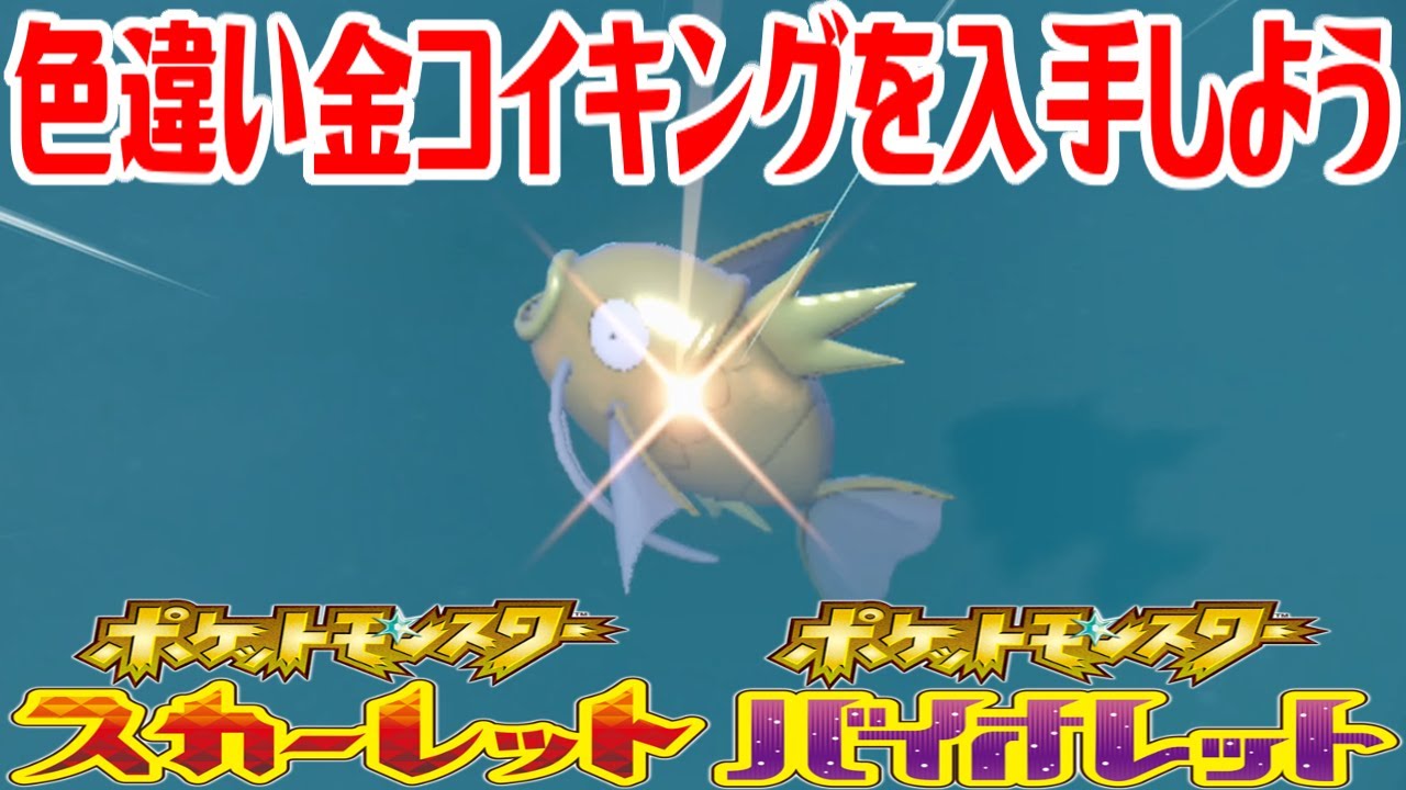 【ポケモンSV】色違い金コイキングを入手しよう【ポケットモンスター スカーレット・バイオレット】Pocket Monsters