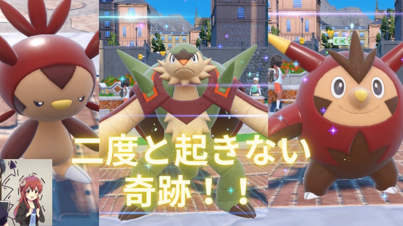 【出現確率1/512】国際孵化厳選で色違いハリマロンを狙う【ポケモンSV】