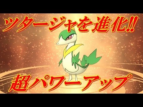 【ポケモンマスターズ】【#2ポケマスへの道】【進化方法】ツタージャを進化させて強くするぞ！！