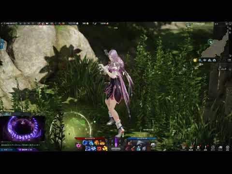 【LostArk】大司教像の遺跡の隠されたモココの種【ロスアク】