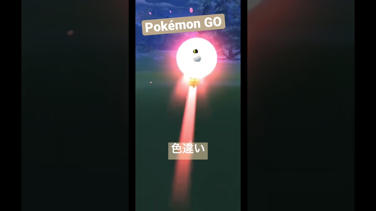 【Pokémon GO】クヌギダマ　色違い