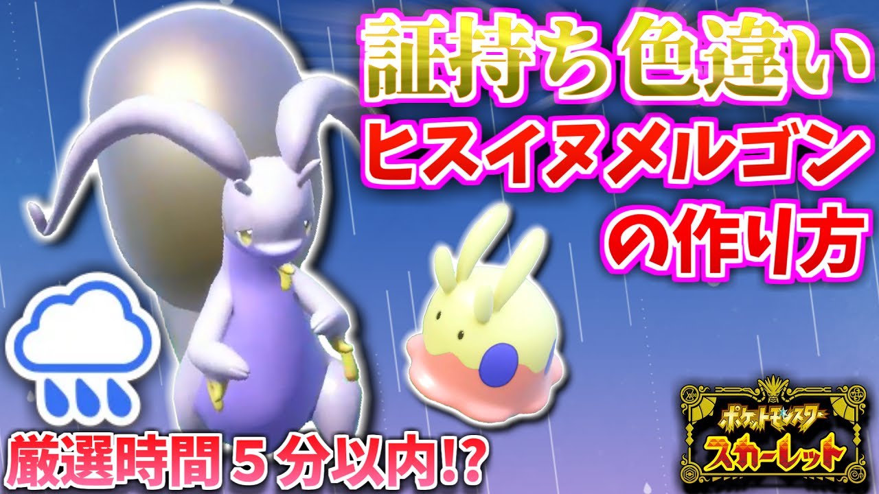 【ポケモンSV】色証ヒスイヌメルゴンを作りたい!! SV産の天候証持ちヌメラはヒスイヌメルゴンに進化出来るのか!?【色違いポケモン】【ポケモン】【色違い厳選】【色証】
