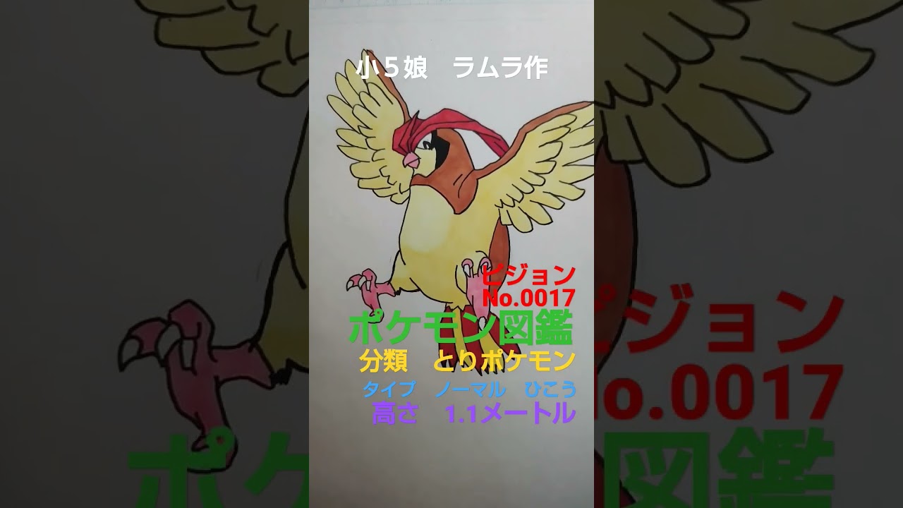 【ポケモン図鑑】小５娘作成ラムラが、ピジョン書いてみました!　＃ポケモンカード　＃ポケモン　＃pokemon　＃再販　＃バイオレット　＃スカーレット　＃ポケモンイラスト　＃ポケカ