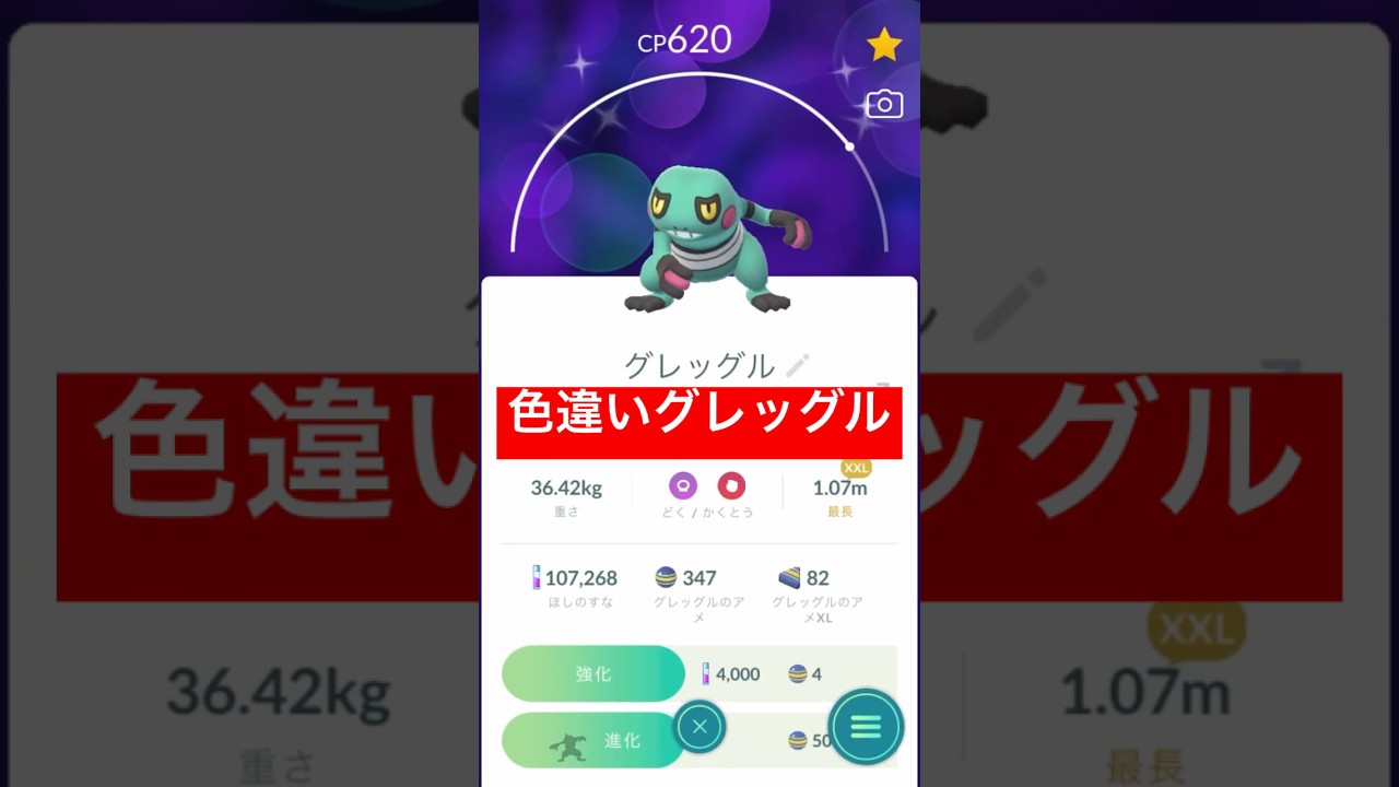 【色違いグレッグル】ドクロッグに進化させてみた！ #色違いポケモン #ポケモンgo #ポケモンgo色違い #ドクロッグ  #pokemonGO