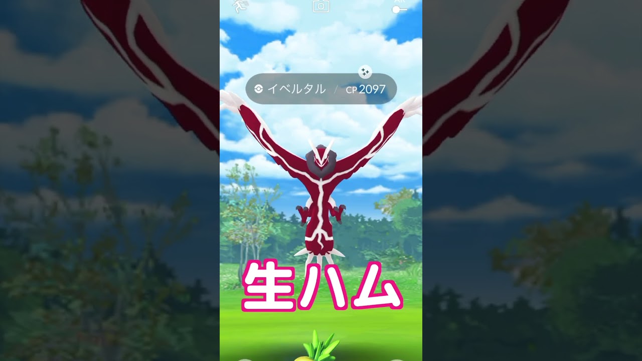 【生肉】GO FEST 2023 大阪の残り時間ギリギリで色違いイベルタルをゲットしたったww【ポケモンGO/Niantic】
