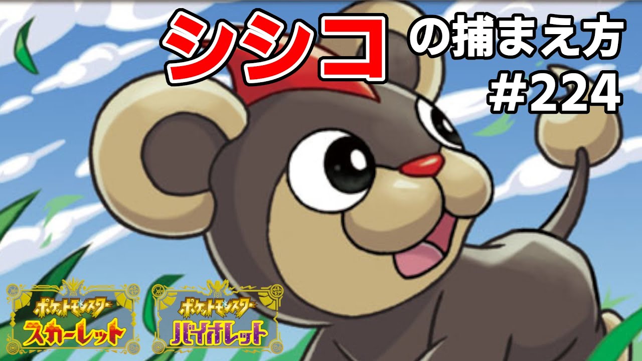 シシコを探している方に見てほしい動画