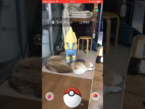 ポケモンGO ライボルト