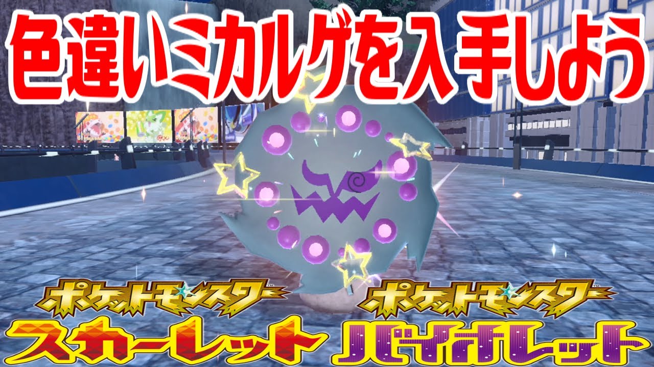 【ポケモンSV】色違いミカルゲを入手しよう タマゴふか(タマゴ孵化)【ポケットモンスター スカーレット・バイオレット】Pocket Monsters