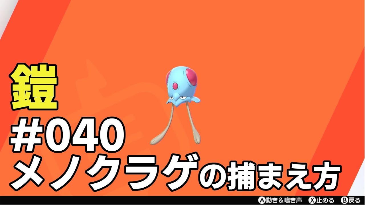 メノクラゲを探している方に見てほしい動画