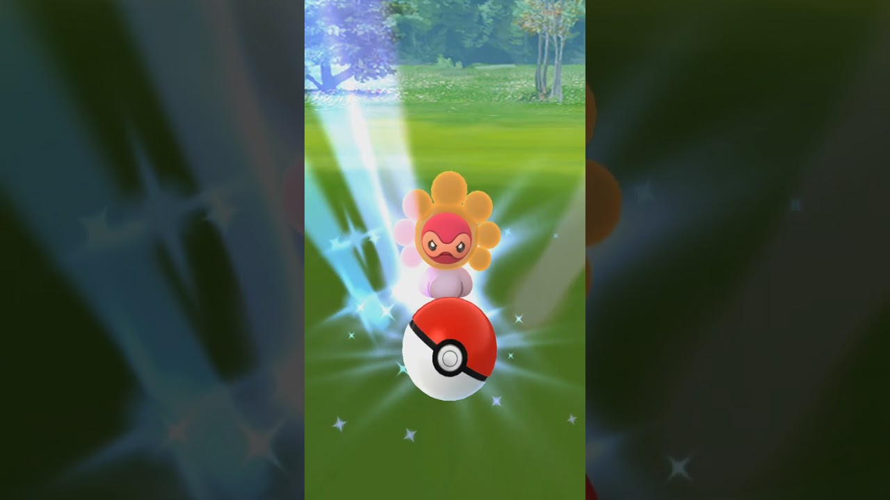 Shiny Castform Sunny Day Sprites Comparison