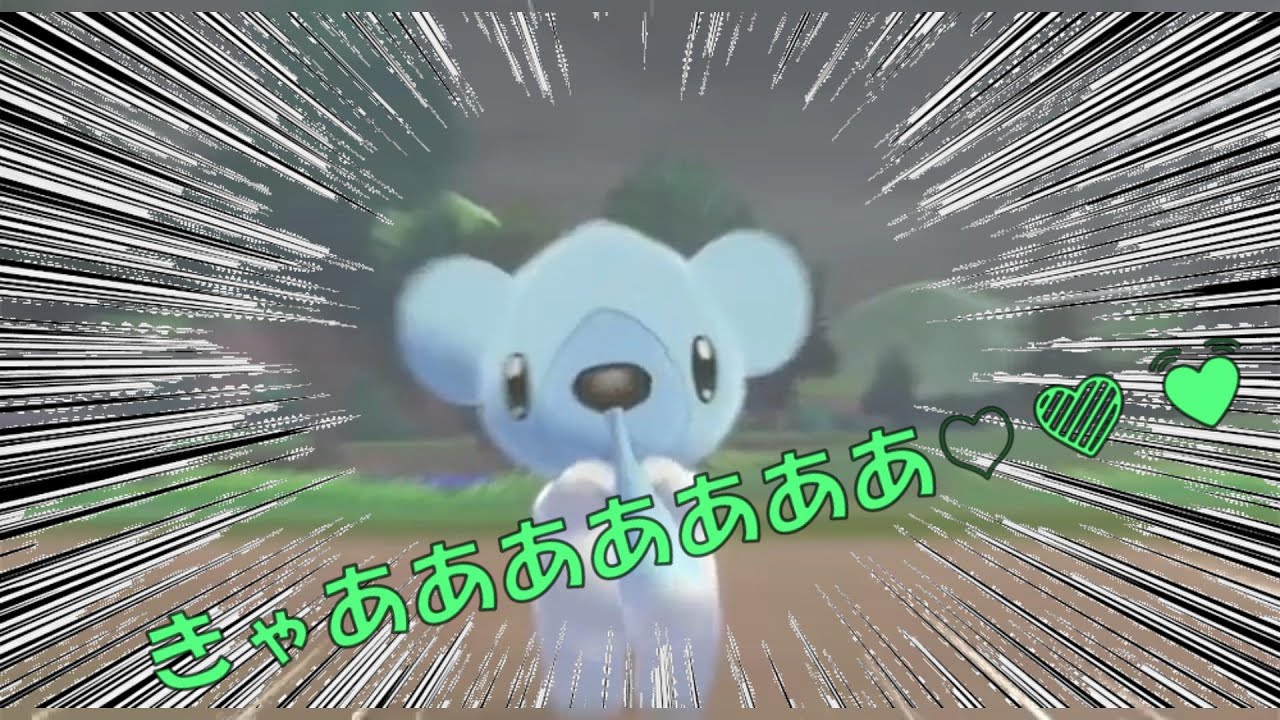 【ポケモン剣盾】クマシュンにメロメロ 【切り抜き】