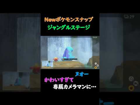 ヌオー専属カメラマンになりたい！【Newポケモンスナップ】#shorts