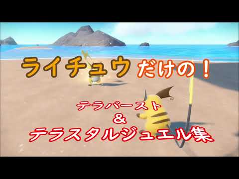 【ポケモンSV】テラバースト＆テラスタルジュエル集【ライチュウ】