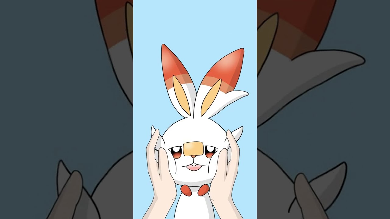 Let's Touch Cute Scorbunny! #shorts