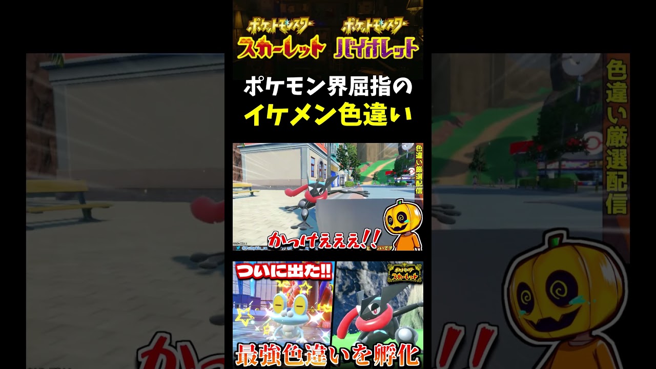 【ポケモンSV】最強の色違い!? 孵化厳選した色違い｢ケロマツ｣をゲコガシラやゲッコウガに進化させました【スカーレット】【ポケモン】【切り抜き】【色違い厳選】【色違いポケモン】#short