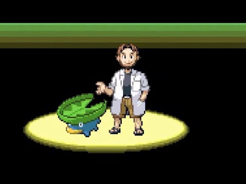 ポケモンエメラルド人生縛り