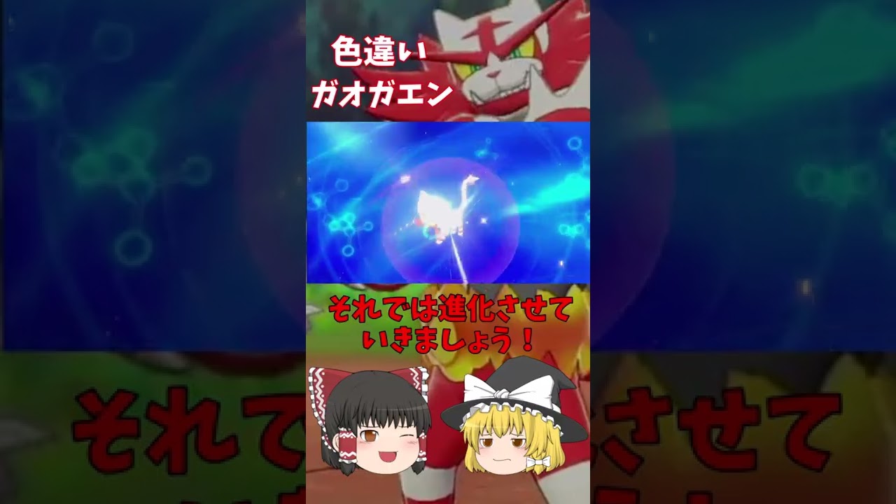 色違いガオガエンは立ってしまうのです