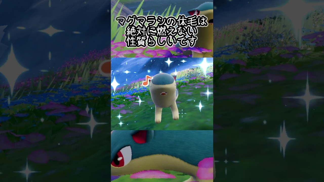 【疲れた人向け】マグマラシ6匹とピクニック【ポケモンSV】#Shorts