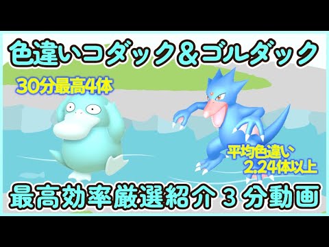 色違いコダック＆ゴルダック 最高効率厳選３分動画 30分最高４体平均2.24体以上#ポケモンsv #最高効率 #色違い #コダック #ゴルダック