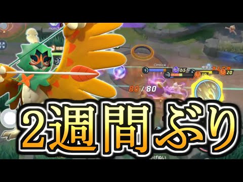 ジュナイパーのバグが！！直りました！！さっそく！！やります！！【ポケモンユナイト】生放送切り抜き