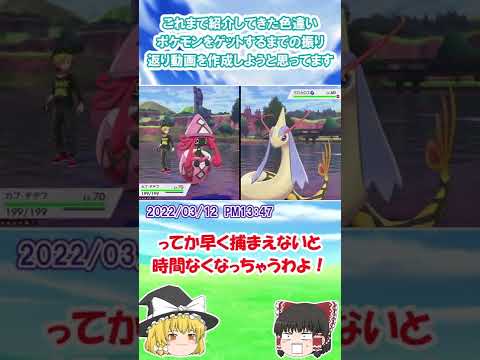 【ポケモン剣盾】 色違い粘り #１９　しかとその目に焼き付けな！　 色違い野生ミロカロス 【ゆっくり実況】