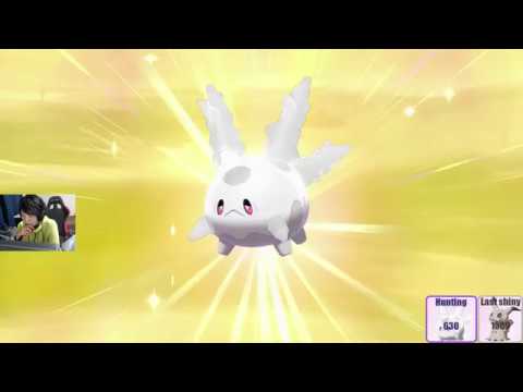 【ポケモン剣盾】色違いガラルサニーゴを孵化644匹目でゲットした【ポケモンソード・シールド】 EPIC SHINY CORSOLA GALAR Pokemon Sword and Shield