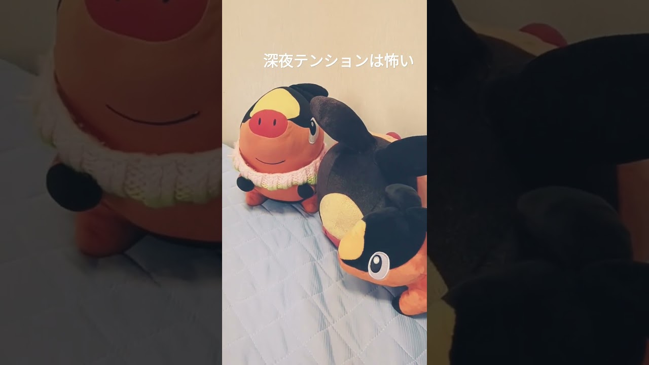 なぜ撮ったのか…ポカブホゲータかわいい#ポカブ#ポケモン#ホゲータ